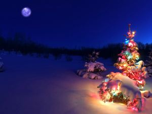 Christmas -  Lights